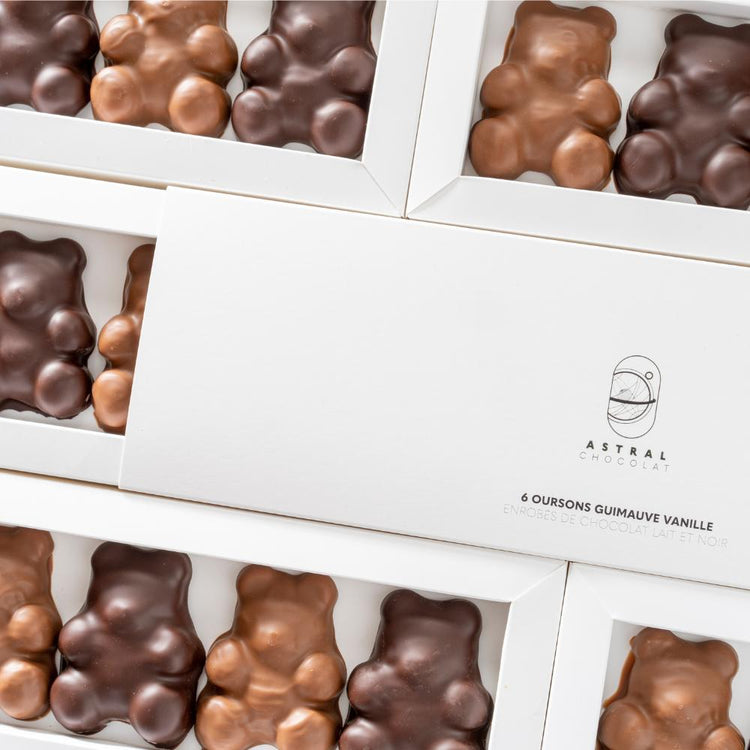 Oursons, douceur régressive, moelleux, enrobages savoureux, chocolat artisanal, gourmandise, cadeau tendre, plaisir régressif, collection gourmande, moments sucrés.