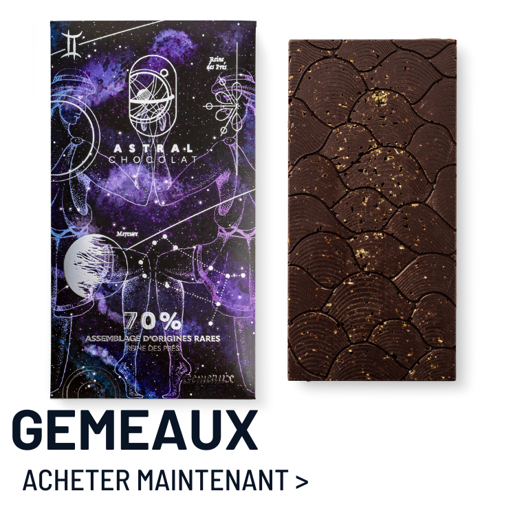 GEMEAUX