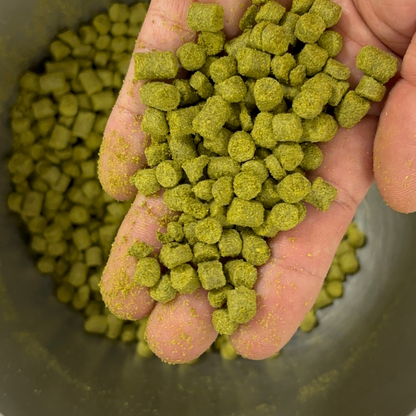 Chocolat au lait 45% infusé au Houblon