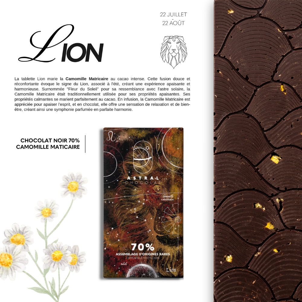 Tablette Lion - Camomille