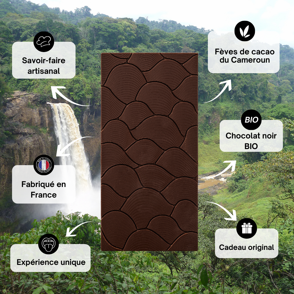 Cameroun cru 75% - Vallée de Sanki Fèves de cacao non torréfiées