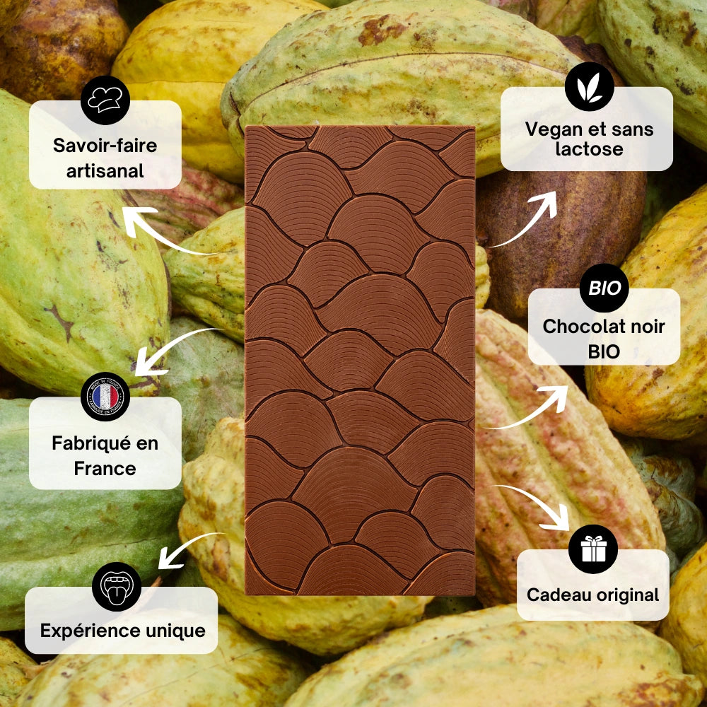 chocolat santé, vegan, chocolat vegan bienfaits du chocolat sur la santé, chocolat au lait vegan, chocolat au lait 45%