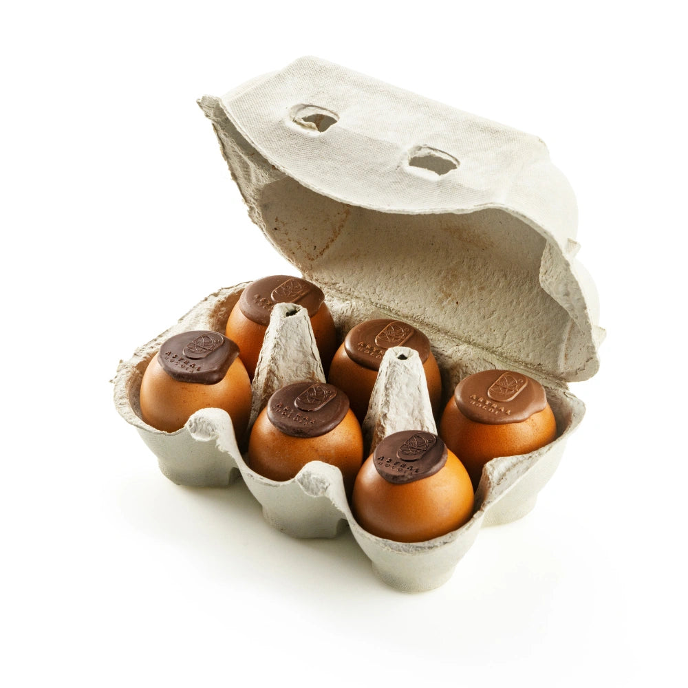 Coffret de 6 Œufs coquille au praliné & caramel vanille